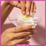 تفاوت باندر ژل و پرایمر